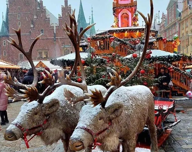 Rynek Pod Fredra Вроцлав