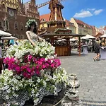 Rynek Pod Fredra 弗罗茨瓦夫