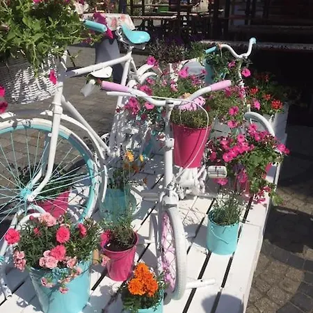 Appartamento Rynek Pod Fredra Breslavia