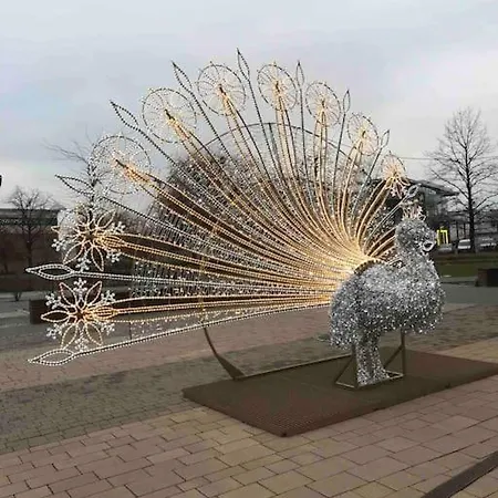 Rynek Pod Fredra Wroclaw