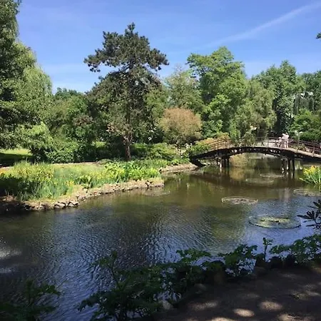 Rynek Pod Fredra * Breslavia