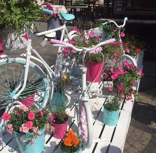 公寓 Rynek Pod Fredra 弗罗茨瓦夫