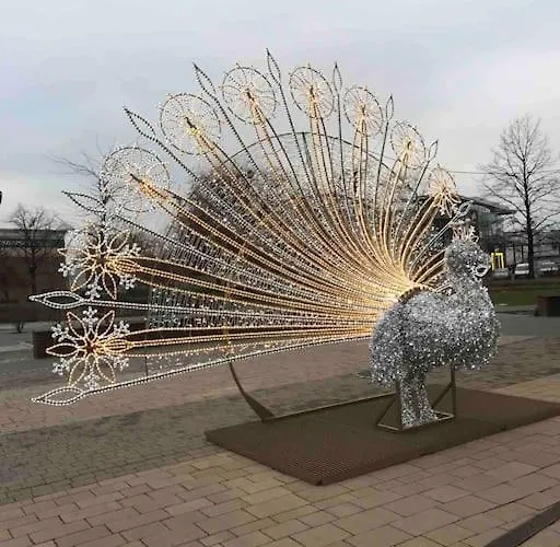 Rynek Pod Fredra 弗罗茨瓦夫